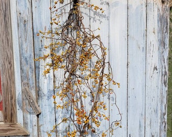 FALL PREORDER Bittersweet Vine, Bittersweet Bundle Of Twigs and Berries, Bittersweet Garland, Bittersweet Vine, Floral Stems
