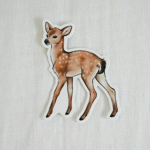 Fawn Stickers  • Cute Baby Deer Art • Baby Animal Stickers • Waterproof Vinyl Stickers