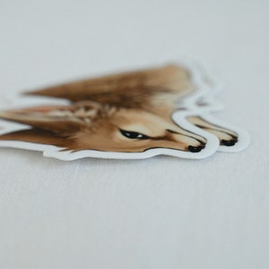 May include: A close-up of a sticker featuring a brown and white fox with black eyes and a black nose. The sticker is on a white background.