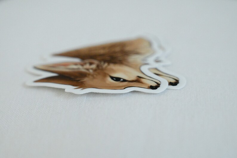 May include: A close-up of a sticker featuring a brown and white fox with black eyes and a black nose. The sticker is on a white background.