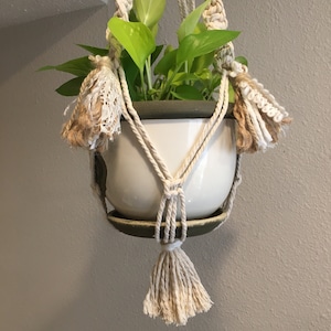 May include: A white ceramic planter with a green plant hanging from a macrame plant hanger with white and brown tassels.