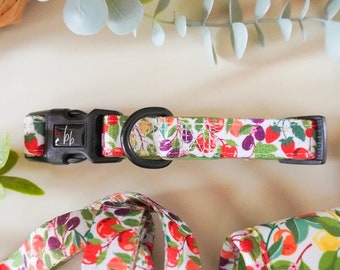 Dog collar fruit design, dog collar pattern, natural dog collar, neoprene, new puppy collar comfort collar, dog gift, collar for dogs