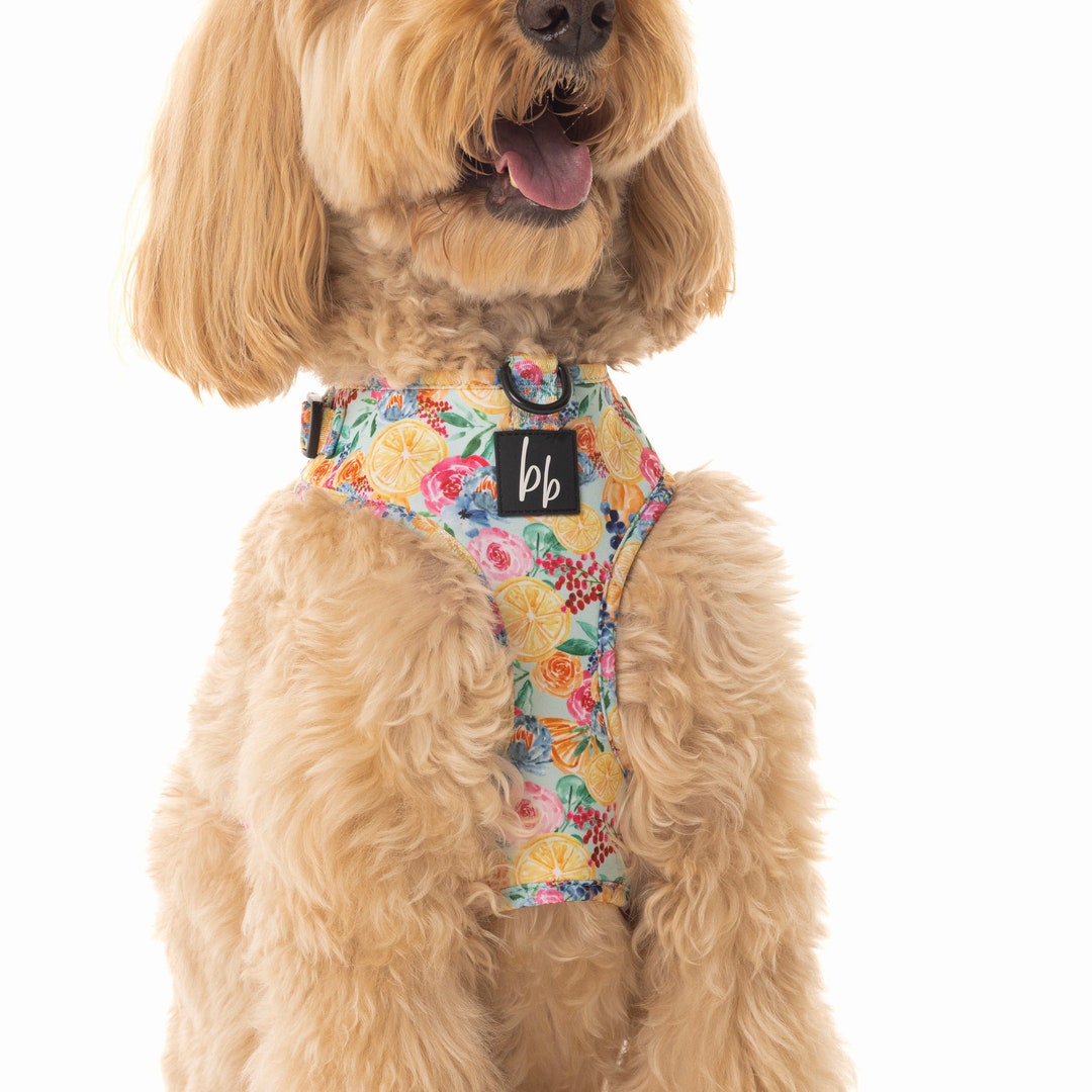 Dog Harness Lemons & Berries Floral Dog Harness Adjustable Etsy