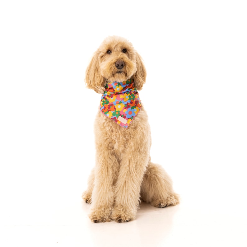 Dog Bandana, colourful dog print, Dog Bandana, Retro print, Floral dog bandana, Pet Accessories, Personalised Bandana, Dog birthday gift image 2