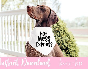 Digital Download Dog Bandana SVG Hot mess express PNG Dog Files for cutting machine Funny dog svg png instant download Custom dog bandana