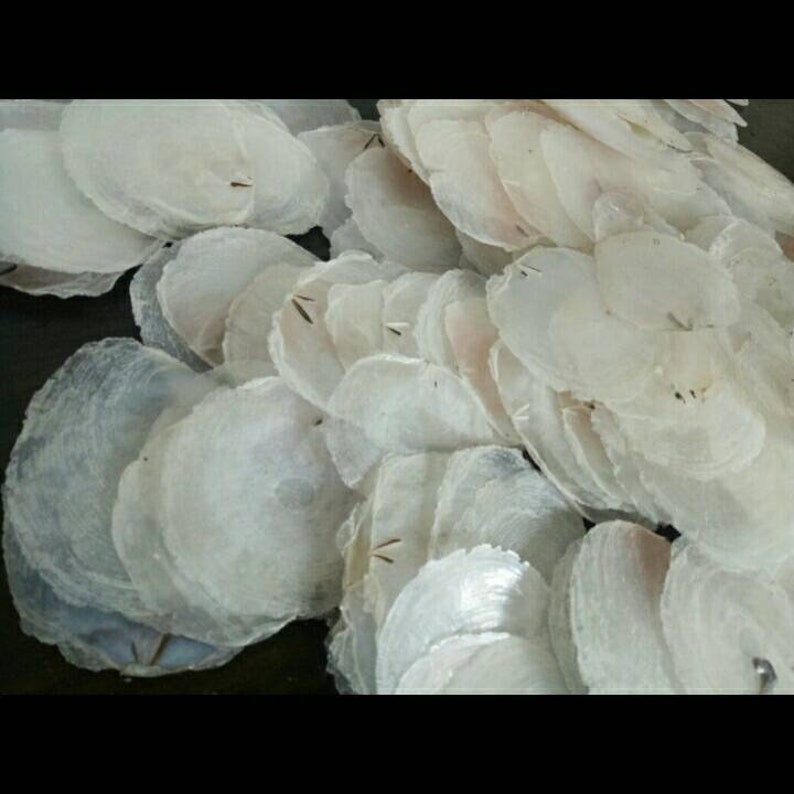 Natural capiz shell/ Capiz craft/ package contains 25 pcs Etsy