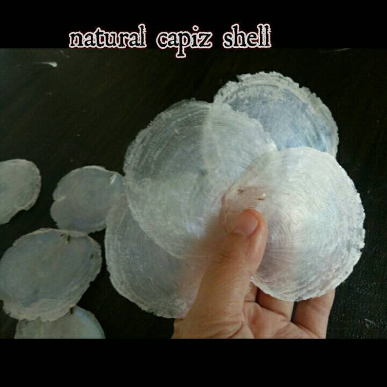 Natural capiz shell/ Capiz craft/ package contains 25 pcs Etsy