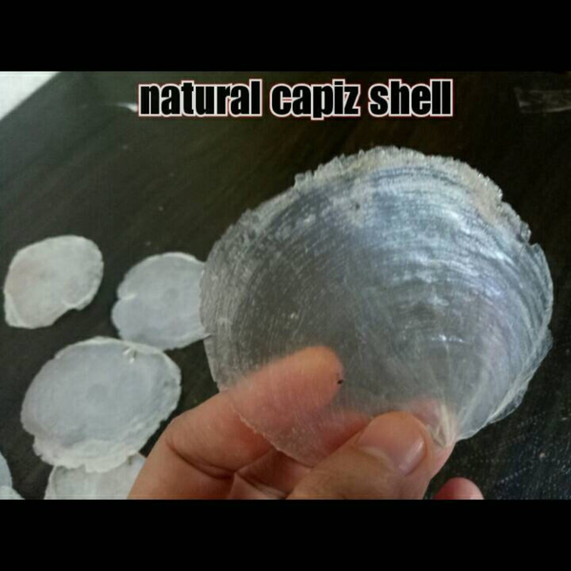 Natural capiz shell/ Capiz craft/ package contains 25 pcs Etsy