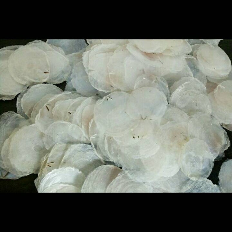 Natural capiz shell/ Capiz craft/ package contains 25 pcs Etsy