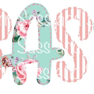 Floral and Stripe Sassy Sublimation Transfer - Ready to press