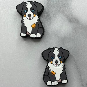 Animal - Dog