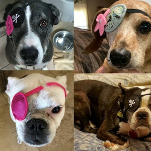 eye patch for blind dog