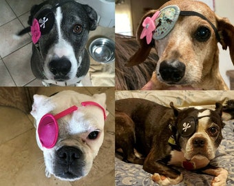 dog pirate eye patch