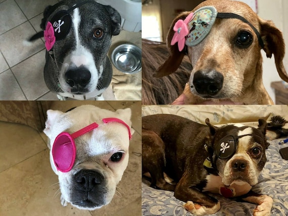dog eyepatch