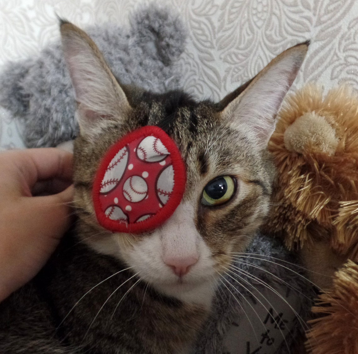 Eye Patch for Cat Etsy