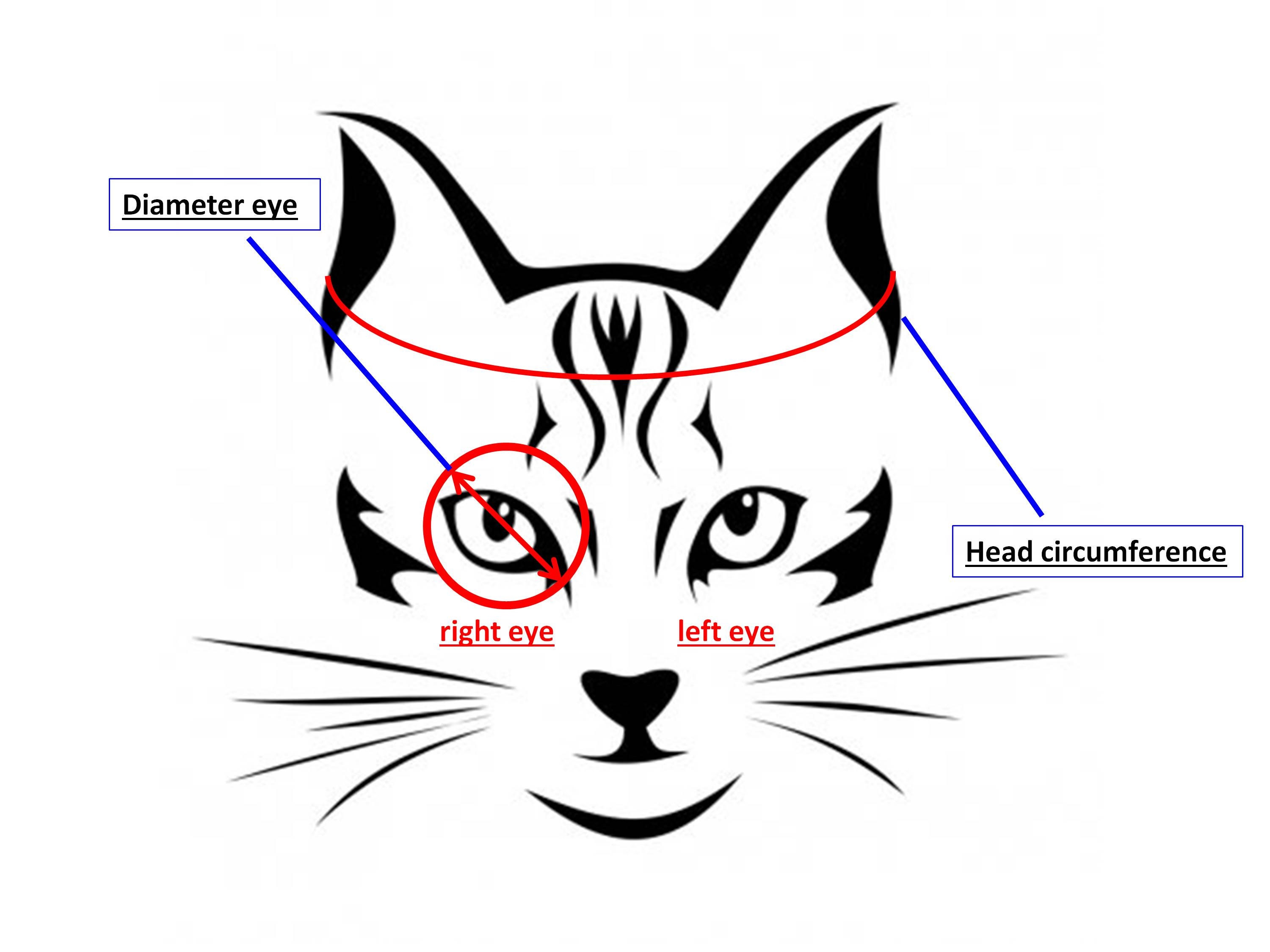 Eye patch for Cat Etsy