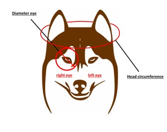 eye patch for blind dog