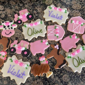 Custom Gluten Free Vegan Sugar Cookies | Vegan Decorated Cookies | Dairy Free Cookies Bild 6