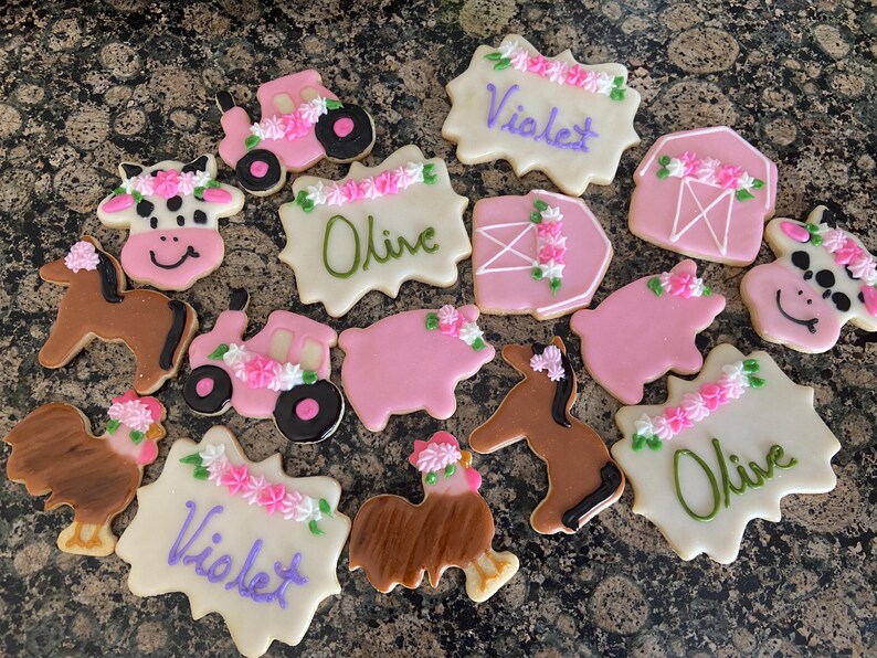 Custom Gluten Free Vegan Sugar Cookies | Vegan Decorated Cookies | Dairy Free Cookies Bild 6