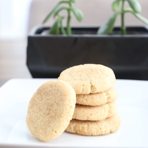 Vegan Snickerdoodles | Vegan Cookies | Vegan Treats | Dairy Free Cookies | Vegan Desserts | Vegan Snacks