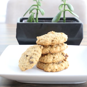Vegan Oatmeal Raisin Cookies | Vegan Cookies | Vegan Treats | Dairy Free Cookies | Vegan Desserts | Vegan Snacks