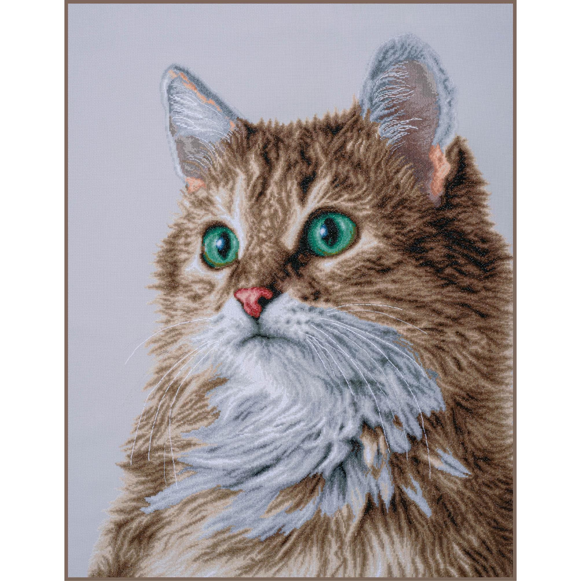 The Purrfect Stare Cross Stitch Kit by Lanarte - Etsy