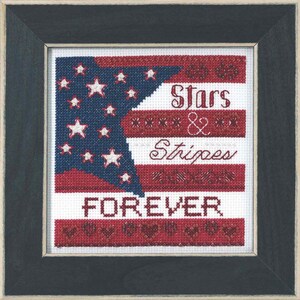 May include: Framed cross-stitch artwork featuring a patriotic design. The design includes a blue field with white stars, red and white stripes, and the words "Stars & Stripes Forever" in red. The frame is black.