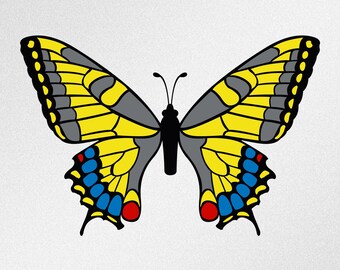 以下が含まれることがあります： 青と赤のアクセントが付いた黄色と灰色の蝶。蝶は左右対称のデザインで、羽を広げています。