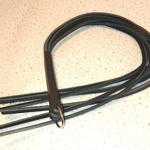 small, hard whip - not recommended for beginners!