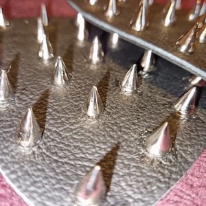 Bra inserts with elegant metal spikes and black leather.
