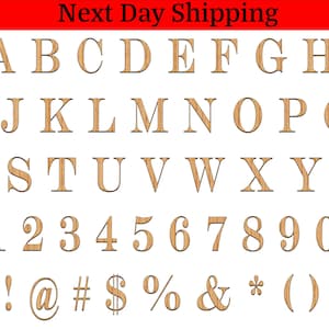 Single Wooden Letter - Unfinished Birch Plywood 2-30 inches - Engravers MT Font - Decorative Craft Monogram, Home Decor, DIY Crafting
