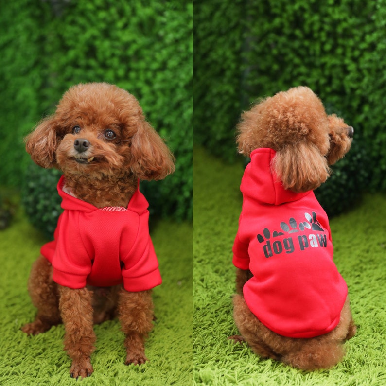 Jayjay Pet Dog Clothes Cat Puppy Coat Spring Summer Autumn Etsy