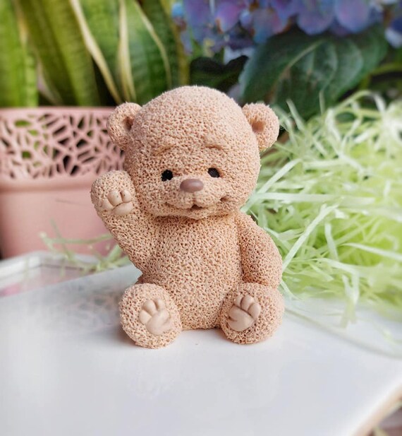 Teddy Bear inside Hearts Silicone Mold