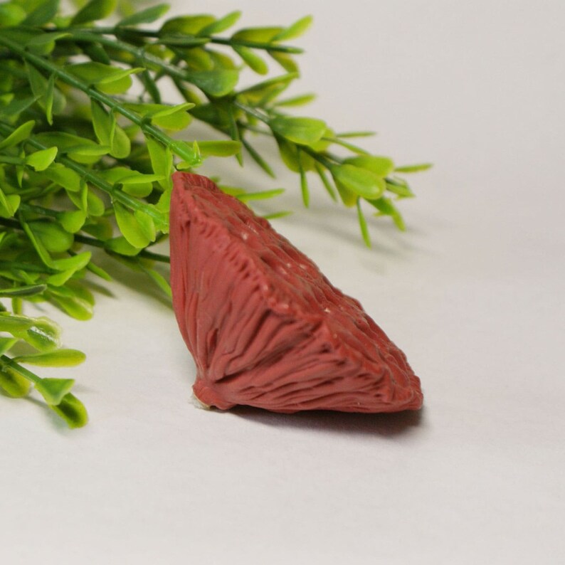 Silicone mold Box of lotus