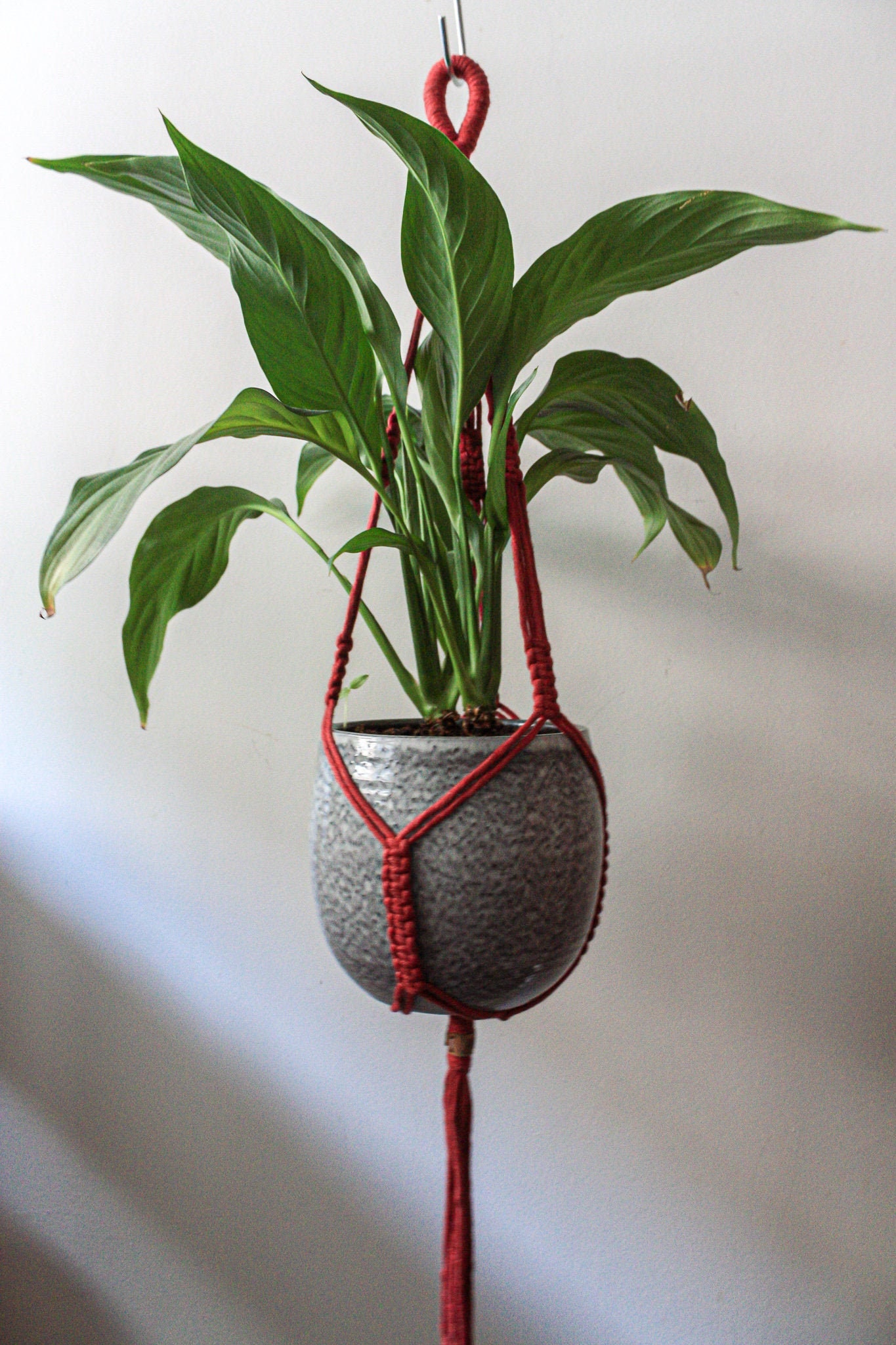 Rainforest Suspension Pour Plante - Fait Main en Macramé, Coton 100% Recyclé