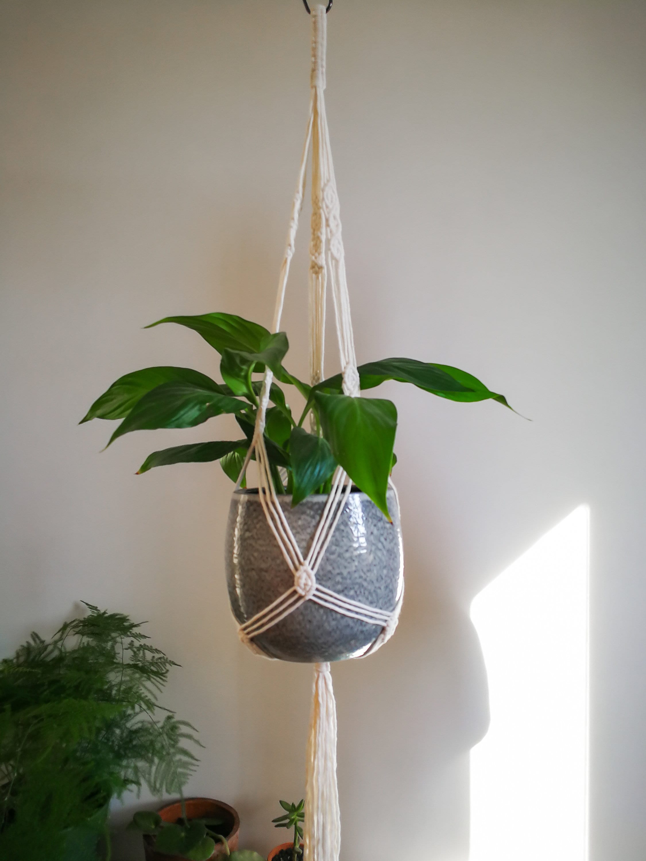 Vienna - Suspension Pour Plante Fait Main en Macramé, Coton 100% Recyclé