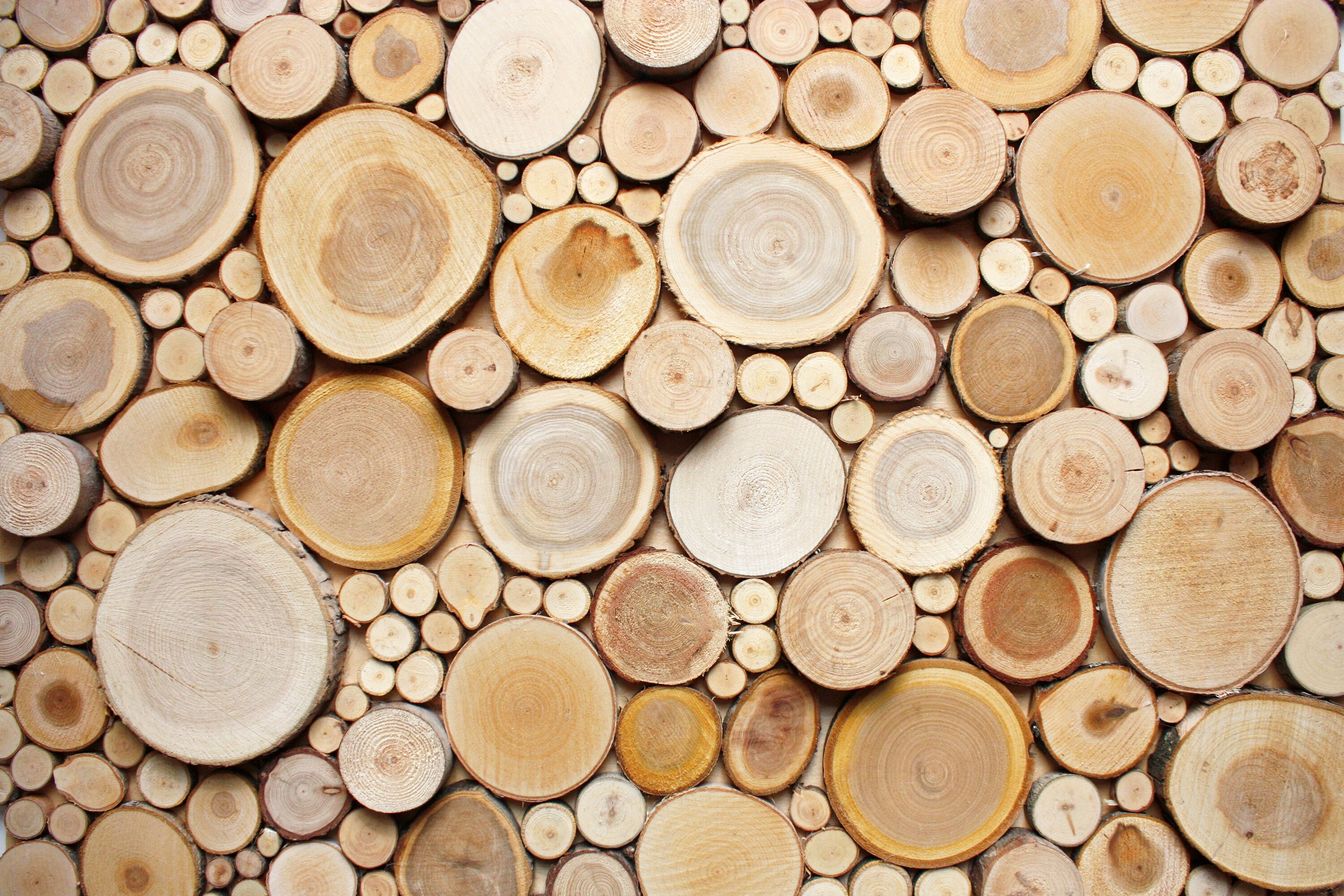 Unsanded Wooden Slices for Wall decor Different Thickness Etsy