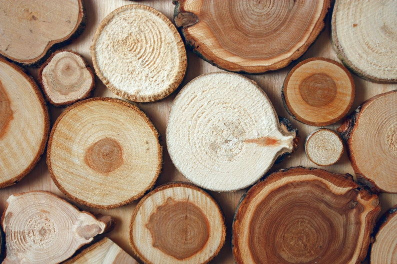 Unsanded Wooden Slices for Wall decor Mix Diameter 14 inch Etsy
