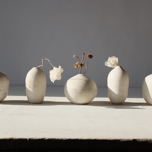 Puede incluir: Cinco jarrones de cerámica blanquecina de varias formas, cada uno con flores y tallos secos. Los jarrones están dispuestos sobre una superficie blanca, con sombras creadas por la luz solar. La estética general es minimalista y natural.