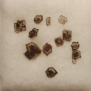 May include: A collection of small, clear and translucent crystals with a brown tint. The crystals are arranged on a white surface.