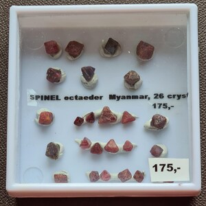 May include: A collection of red and brown spinel octahedron crystals from Myanmar, displayed in a white plastic case. The crystals are various sizes and shapes, some mounted on white bases. Text on the case reads "SPINEL octaeder Myanmar, 26 cryst".