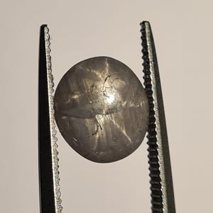 May include: A gray, star-shaped gemstone held by a pair of tweezers. The gem has a rounded shape with a visible star pattern across its surface. The tweezers are black with serrated edges.