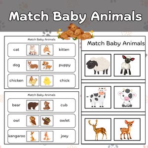 Baby Animals Matching Worksheet – Fun Preschool Activity