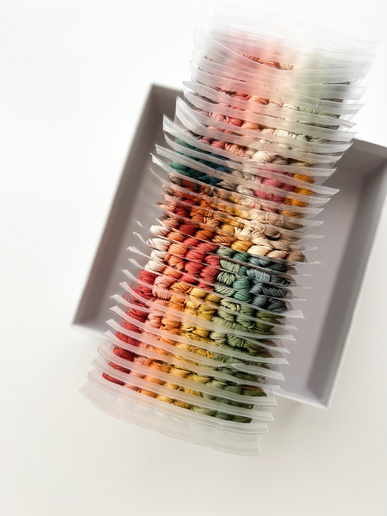 以下が含まれることがあります： カラフルな刺繍糸で満たされた小さなビニール袋の積み重ね。糸は虹色のパターンで配置されており、赤、オレンジ、黄色、緑、青、紫の色合いがあります。