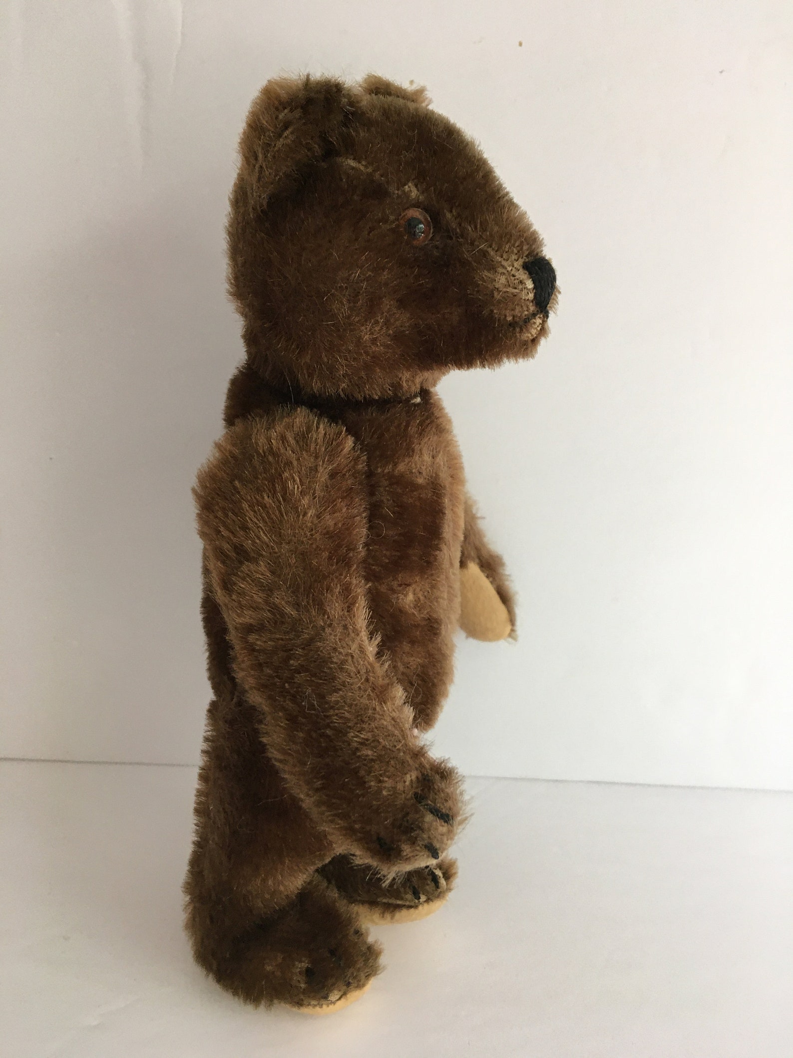 Steiff Chocolate Brown Teddy Bear Circa 1950's | Etsy