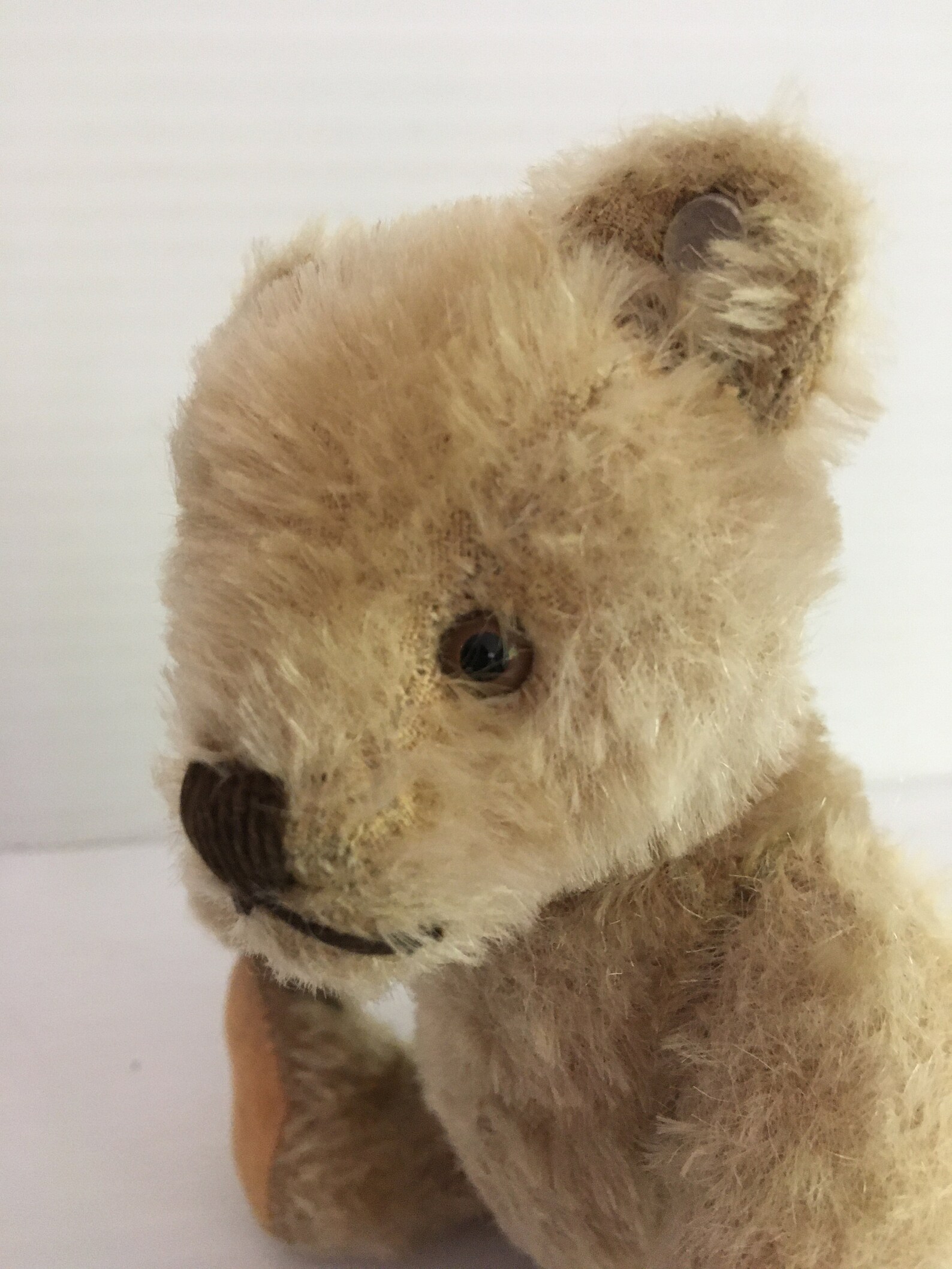 ours steiff ancien prix