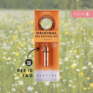 The Original Bee Revival Kit - Rose Gold Edition