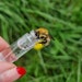 see more listings in the Bee saving kits section