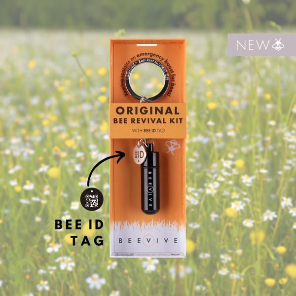 Bee Revival Kit – Black Edition | Sustainable Gift for Bee Lovers, Gardeners & Nature Enthusiasts
