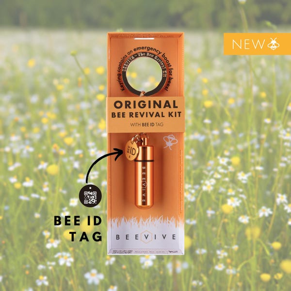 Bee Revival Kit – Gold Edition | Sustainable Gift for Bee Lovers, Gardeners & Nature Enthusiasts